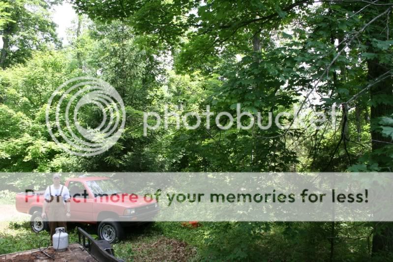 Intro post, 27 acres in Finchville